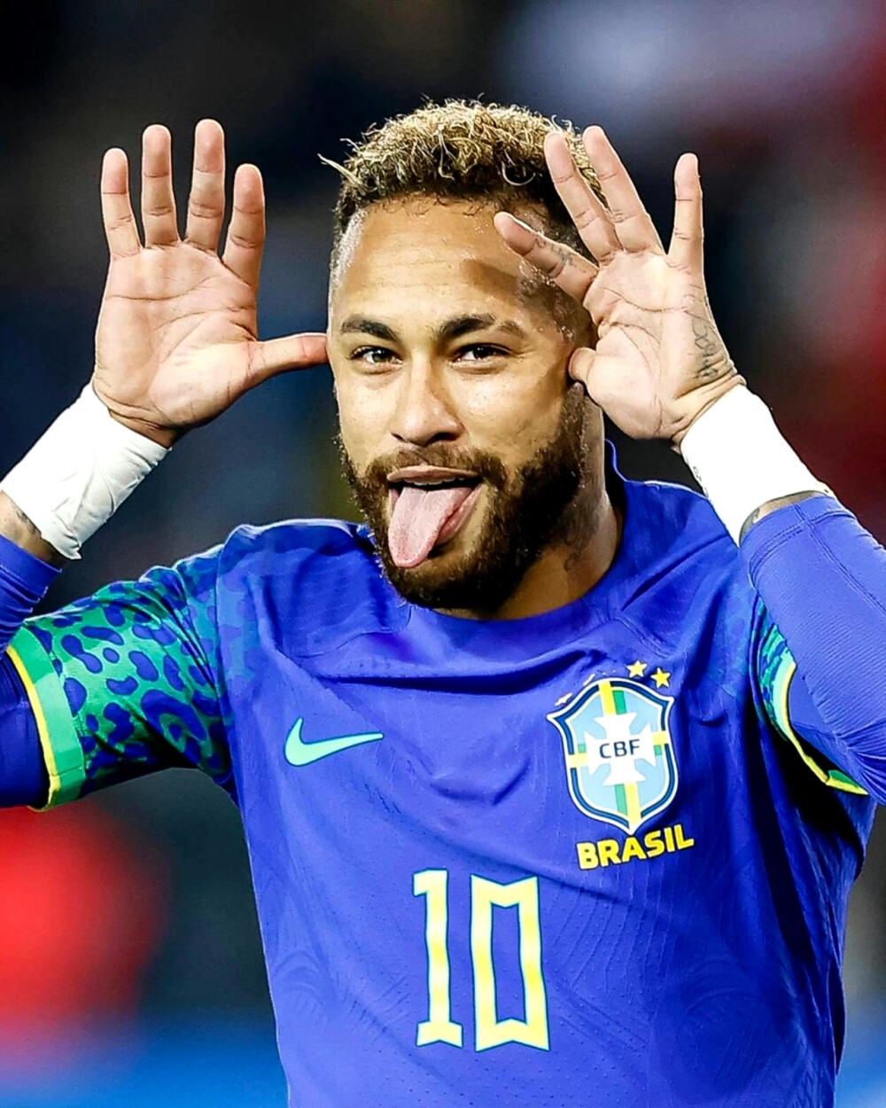 德甲单赛季 德甲单赛季