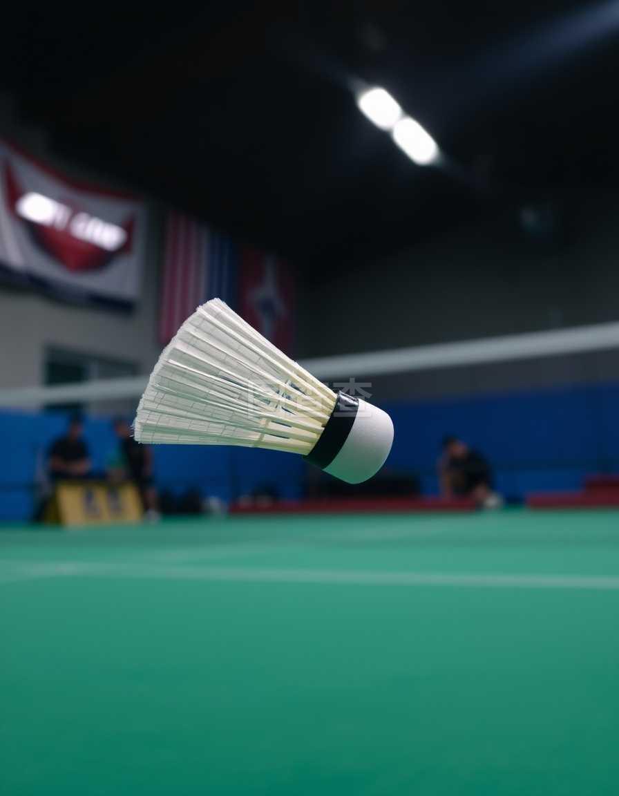 的成功并非 的成功并非