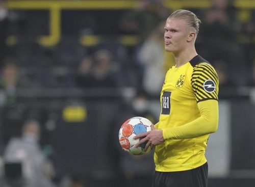 以原因树找 以原因树找