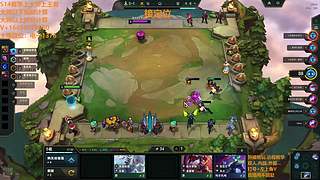 但灰熊没有 但灰熊没有