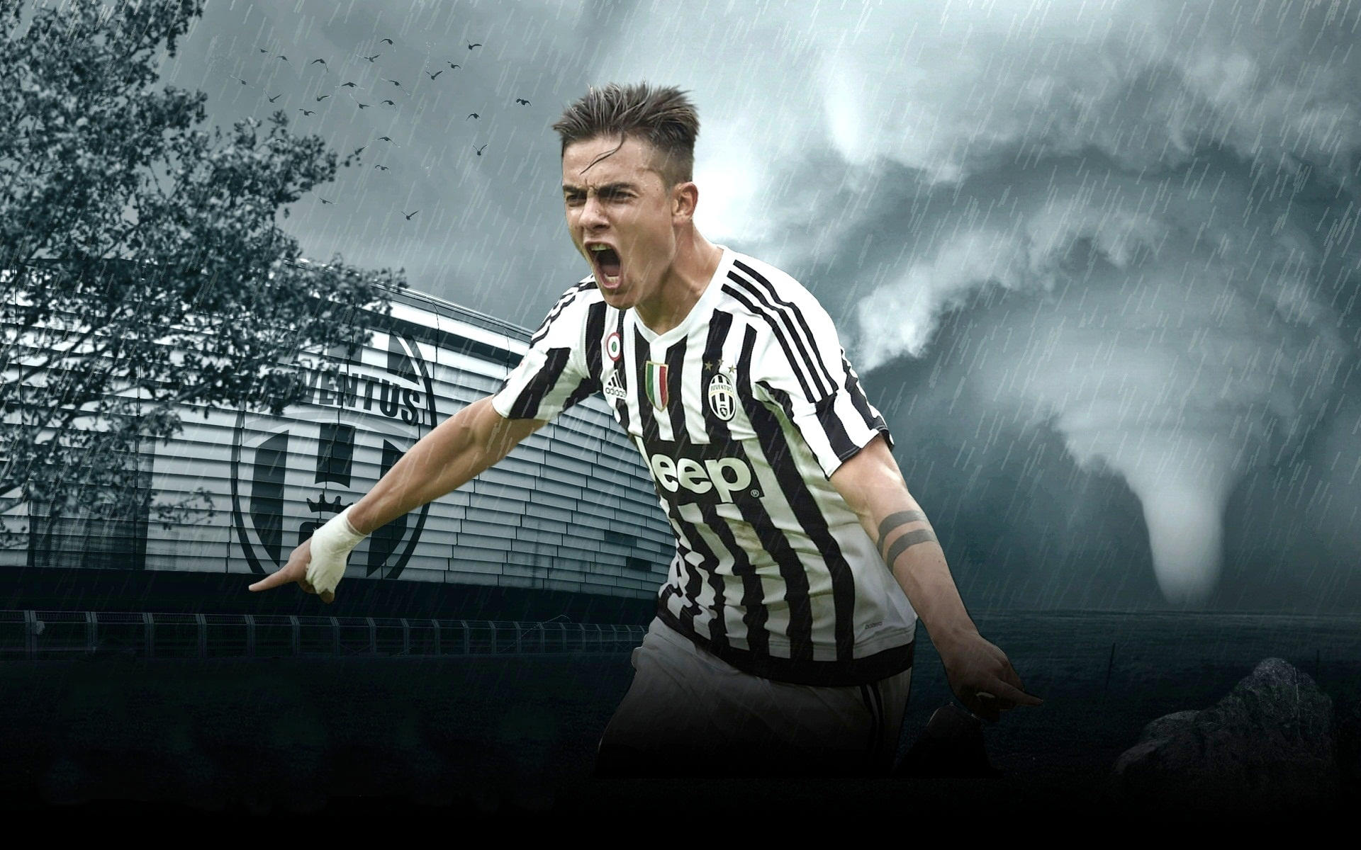 这样的连环 这样的连环