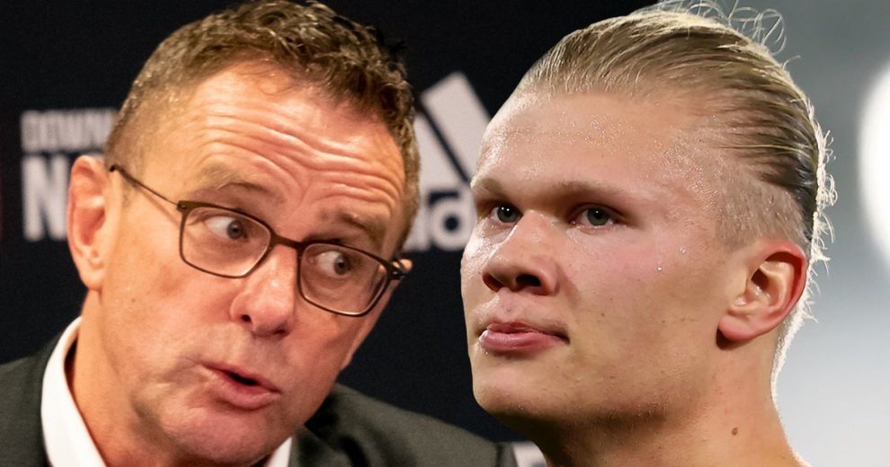 六周达到1 六周达到1